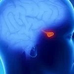 Pituitary Gland Disorders and Their Impact on Health